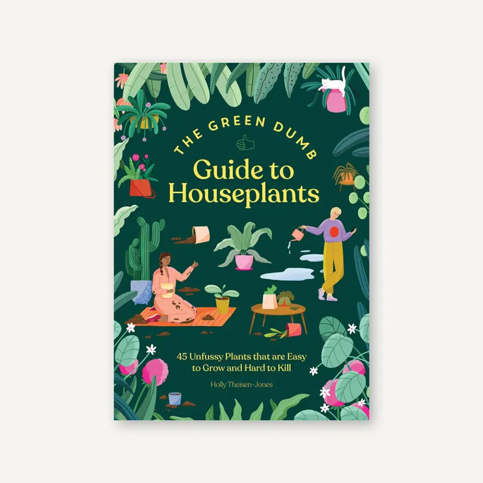 Games Room Green Dumb Guide krukväxter bok nybörjare