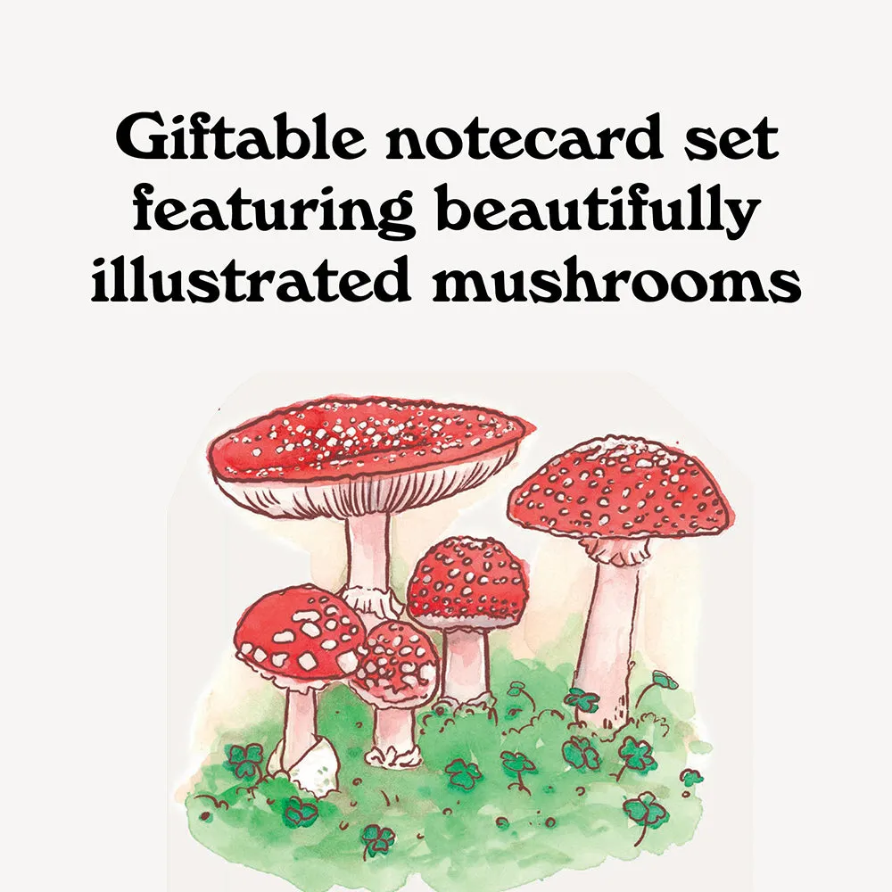 Games Room Mushroom Notes kortset 20 svampkort