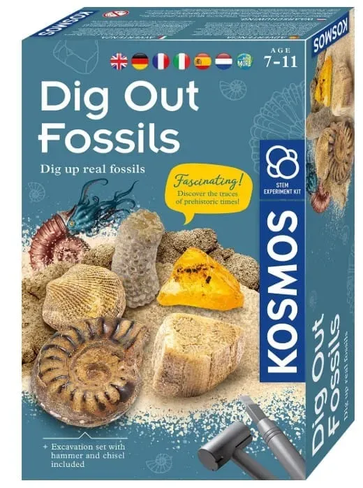 Kosmos Dig Out Fossils grävset fossil 7 år