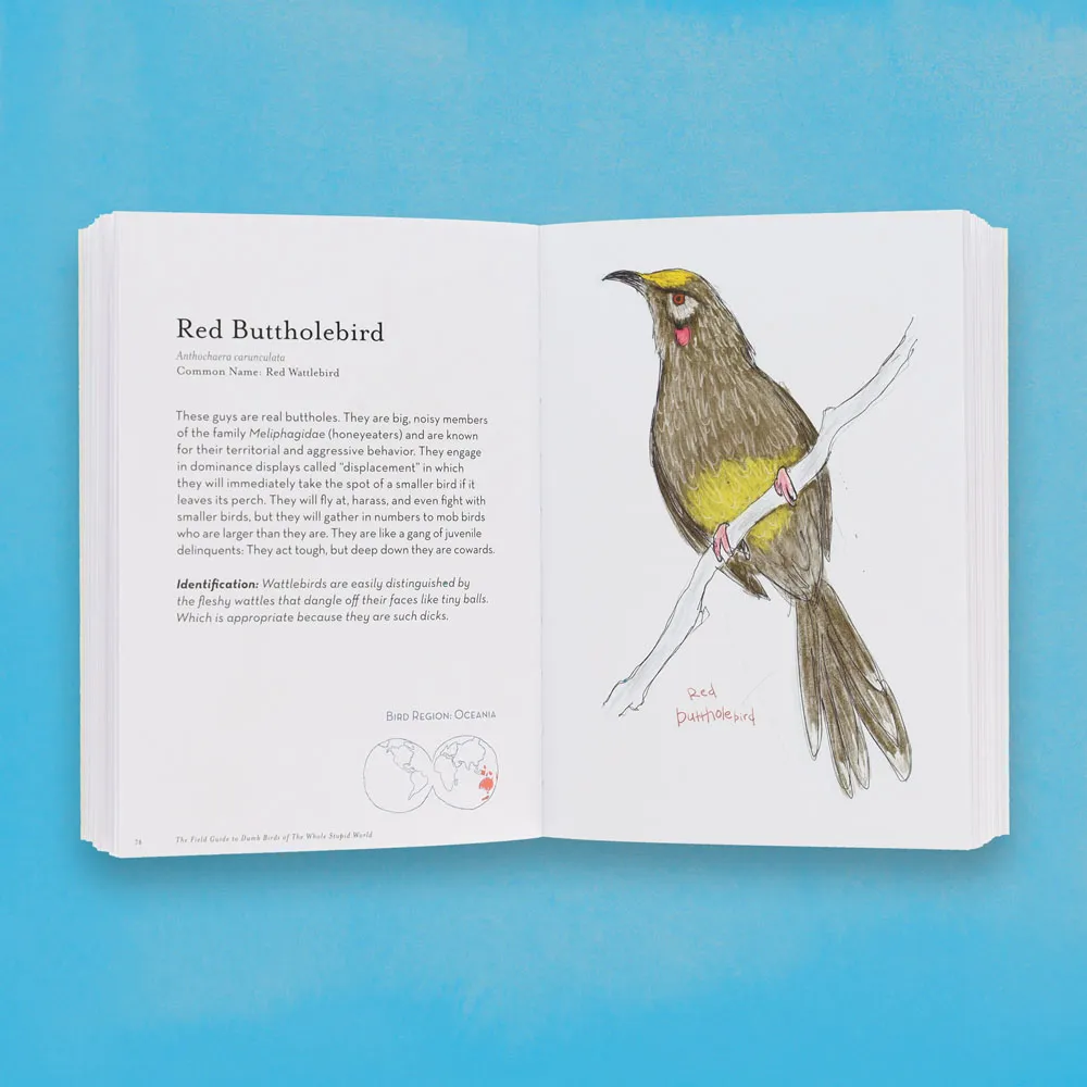 Games Room Field Guide to Dumb Birds bok världen rolig