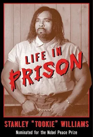 Games Room Life in Prison bok tonår