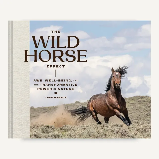 Games Room The Wild Horse Effect bok vildhästar