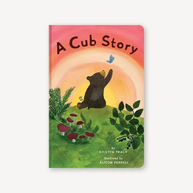 Games Room A Cub Story pekbok björnunge