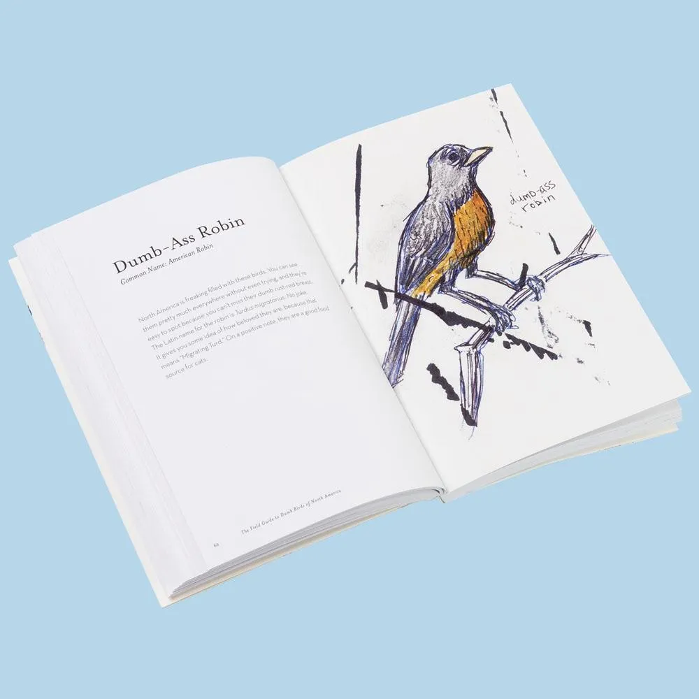 Games Room Field Guide to Dumb Birds of North America bok