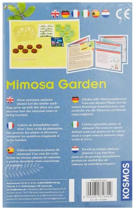 Kosmos Mimosa Garden experimentlåda odla 6 år