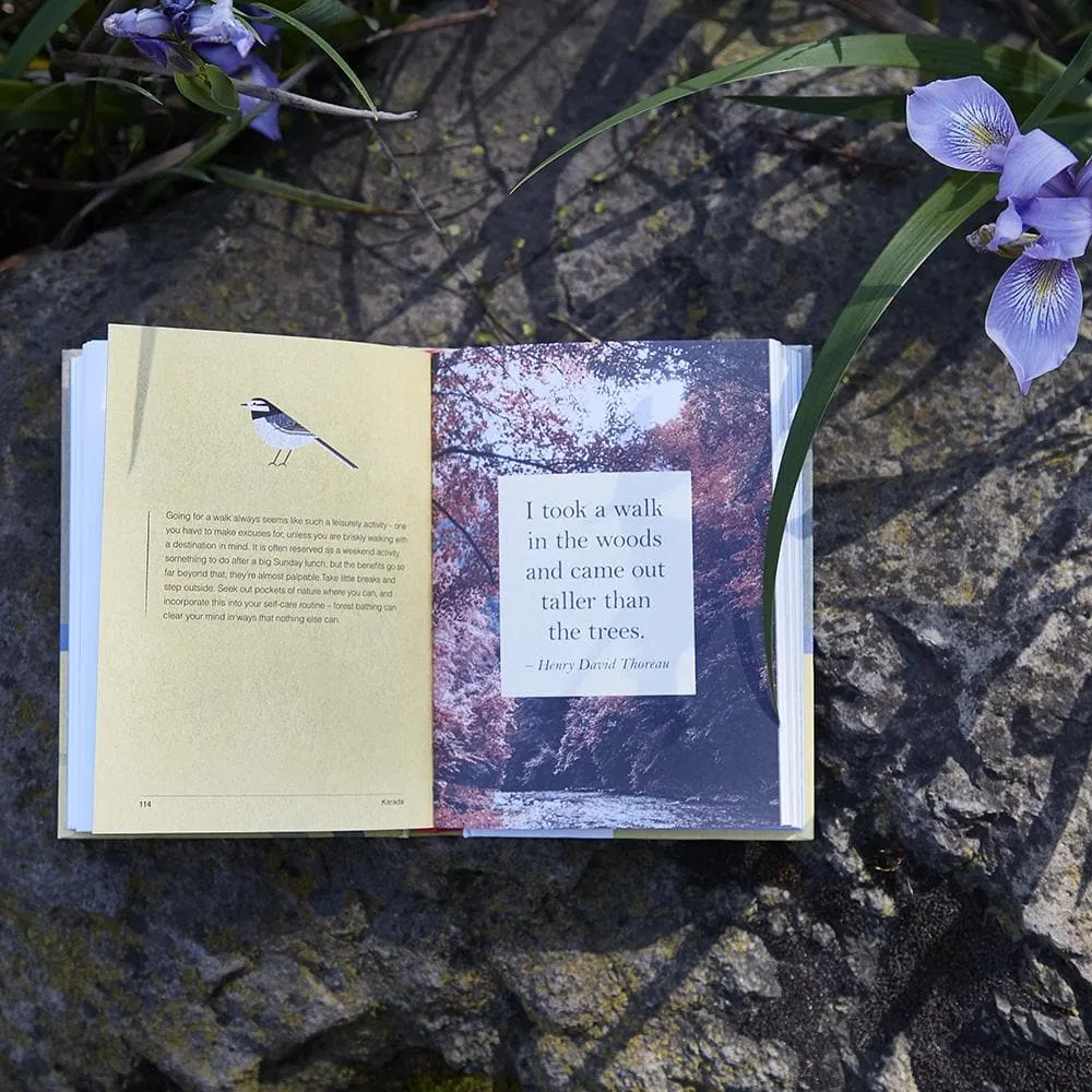 Games Room A Little Book of Japanese Contentments bok mindfulness