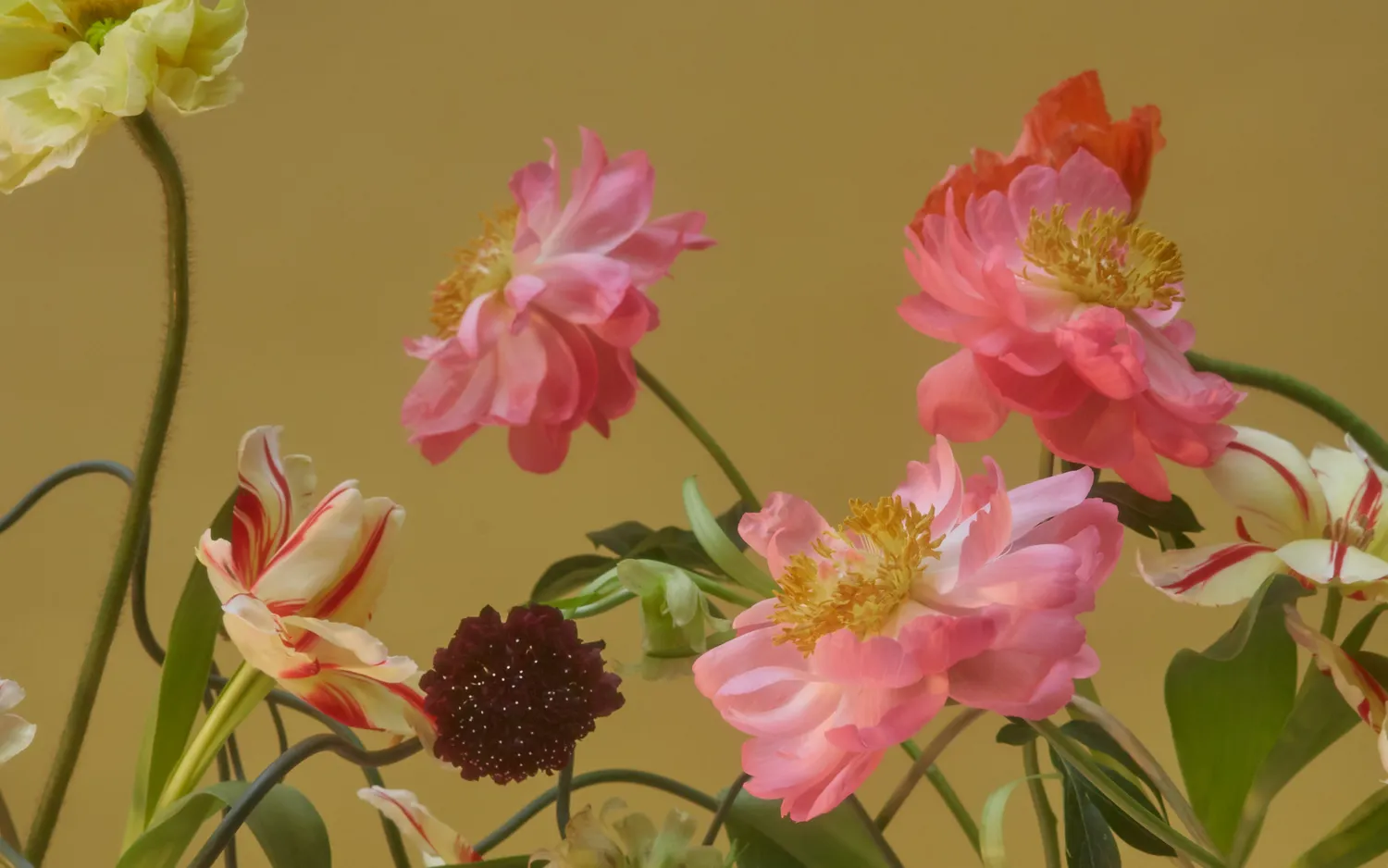 Games Room Still Life bok fotobok blommor