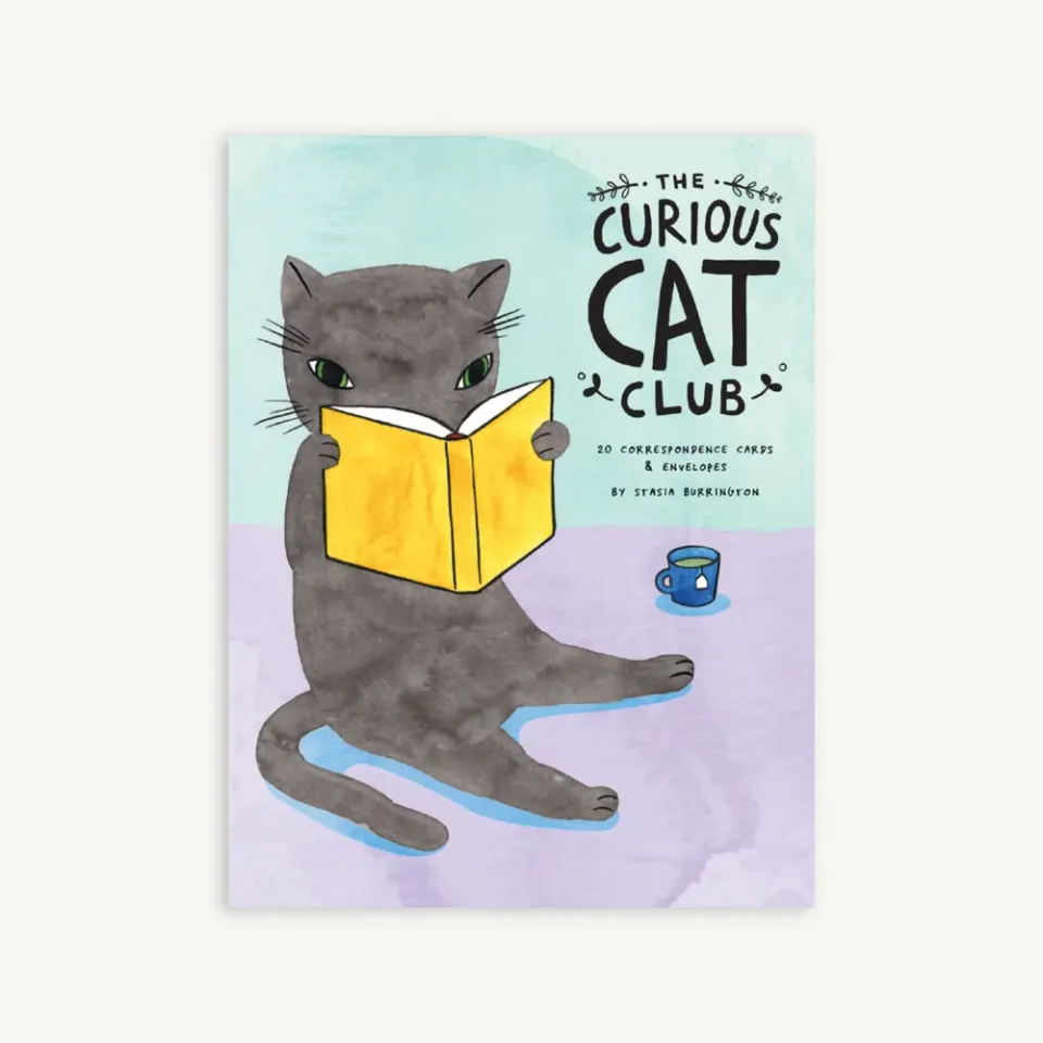 Games Room Curious Cat Club brevkort 20-pack