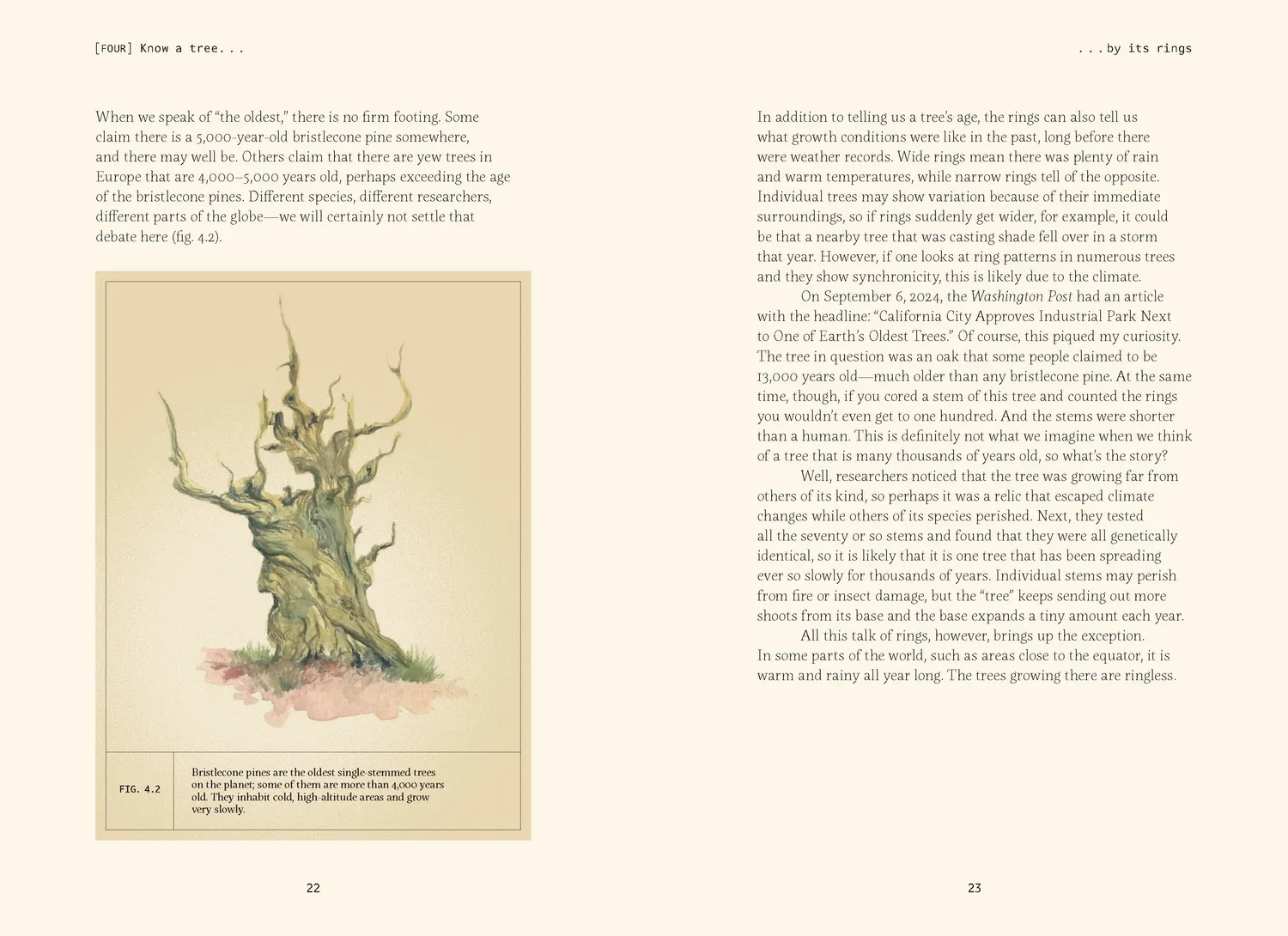 Games Room Forty Ways to Know a Tree naturbok träd