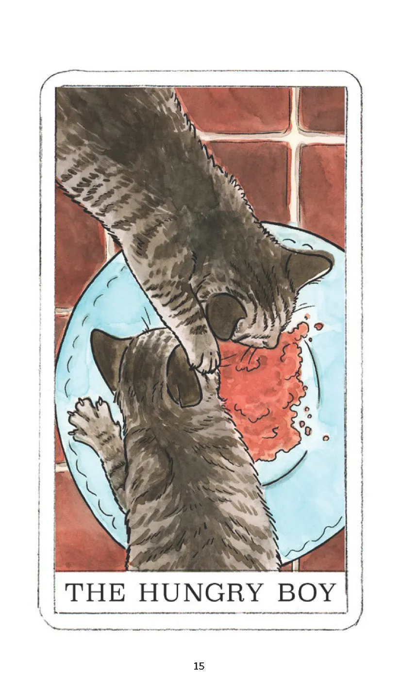 Games Room Kitten Oracle orakelkort 50 kort + guidebok