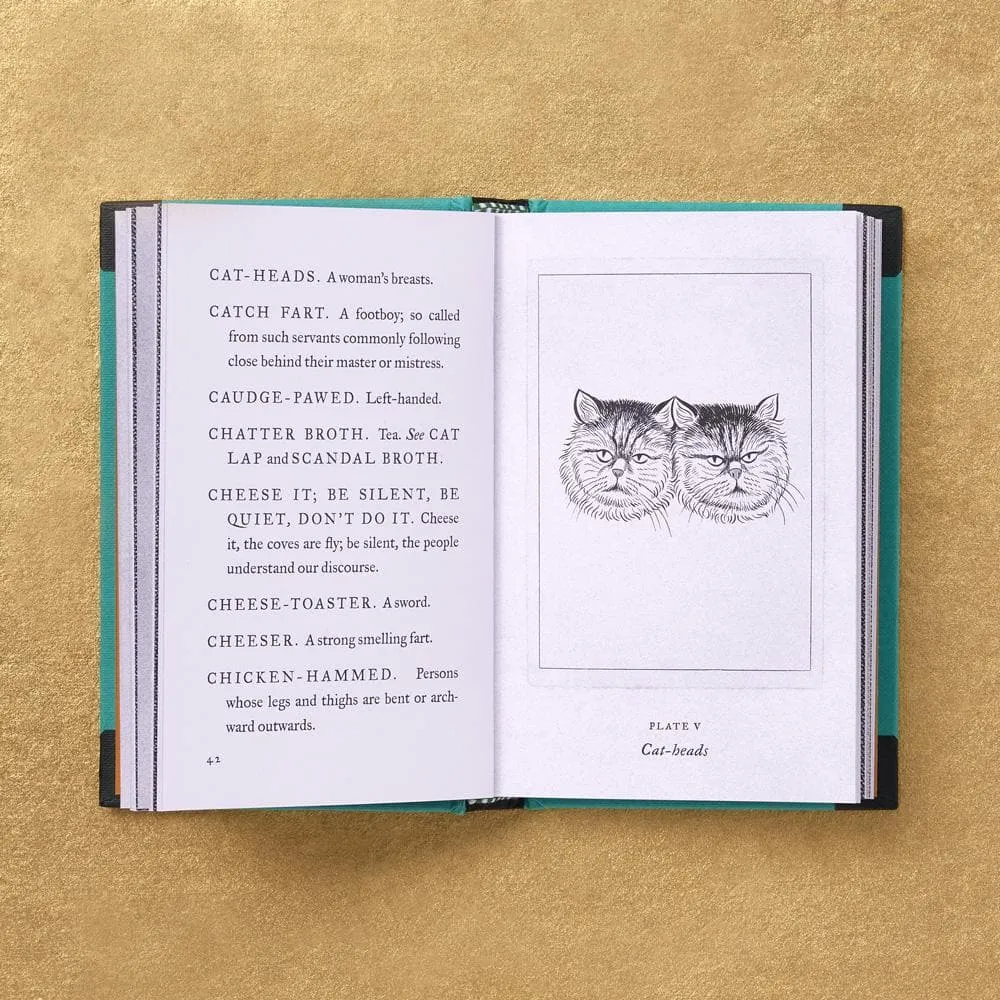 Chronicle Books Vulgar Tongue slangordbok fickformat