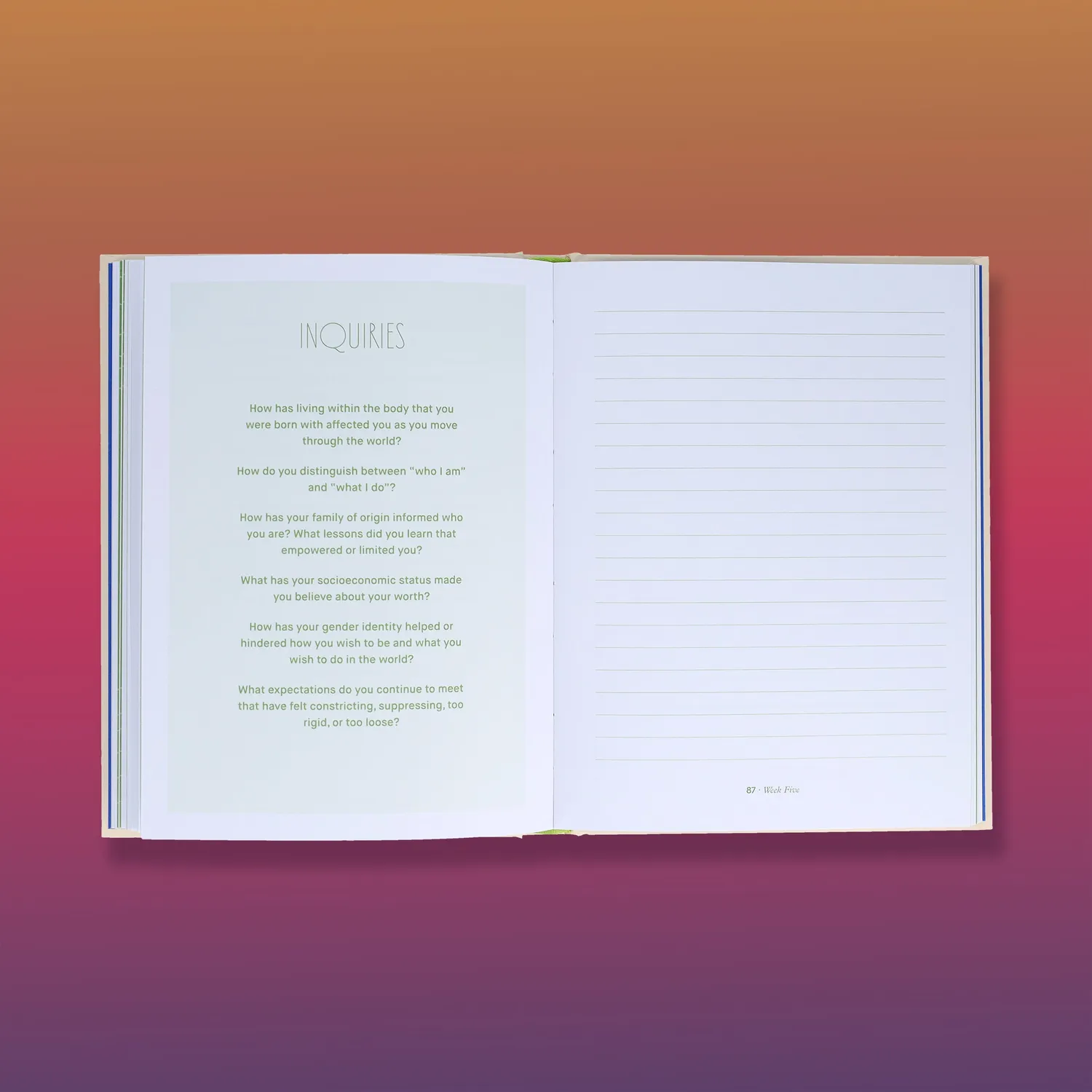 Games Room Small Doses of Awareness journal 12 veckor