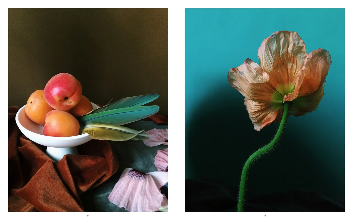 Games Room Still Life bok fotobok blommor