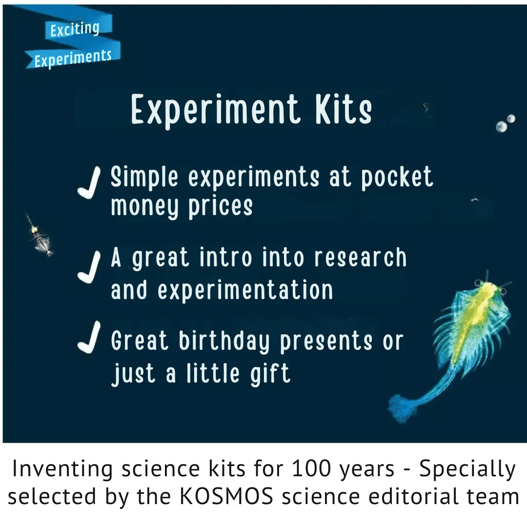 Kosmos Sea Dogs experimentkit saltkräftor odling