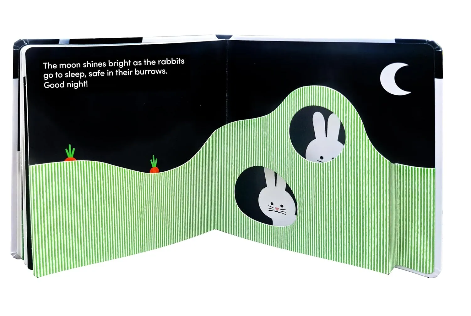 Games Room Baby Basics Animals at Home pekbok pop-up