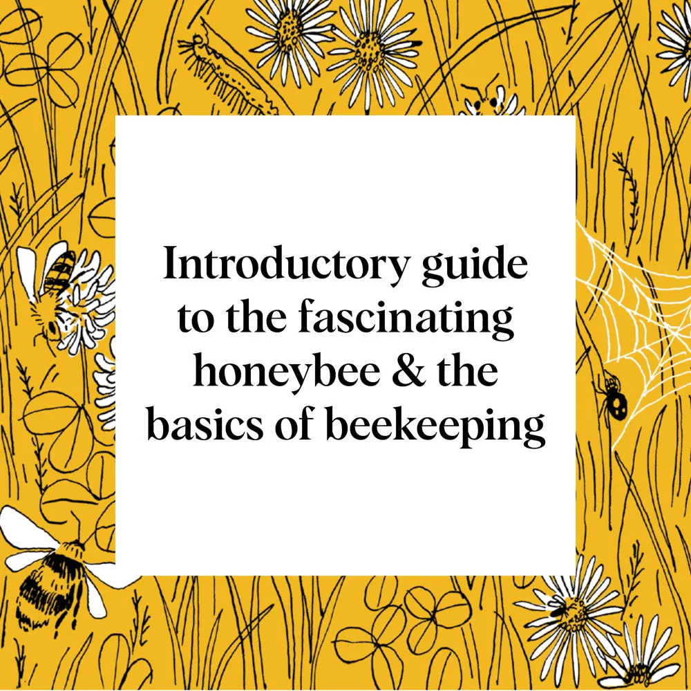 Games Room Pocket Nature Beekeeping minibok om bin biodling