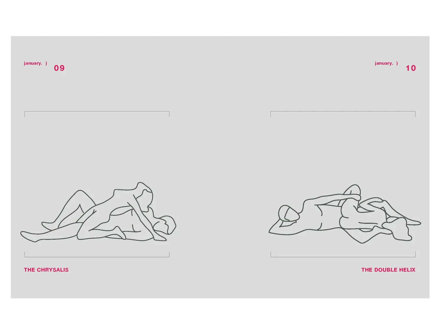 Position of the Day Revised bok 366 ställningar par present