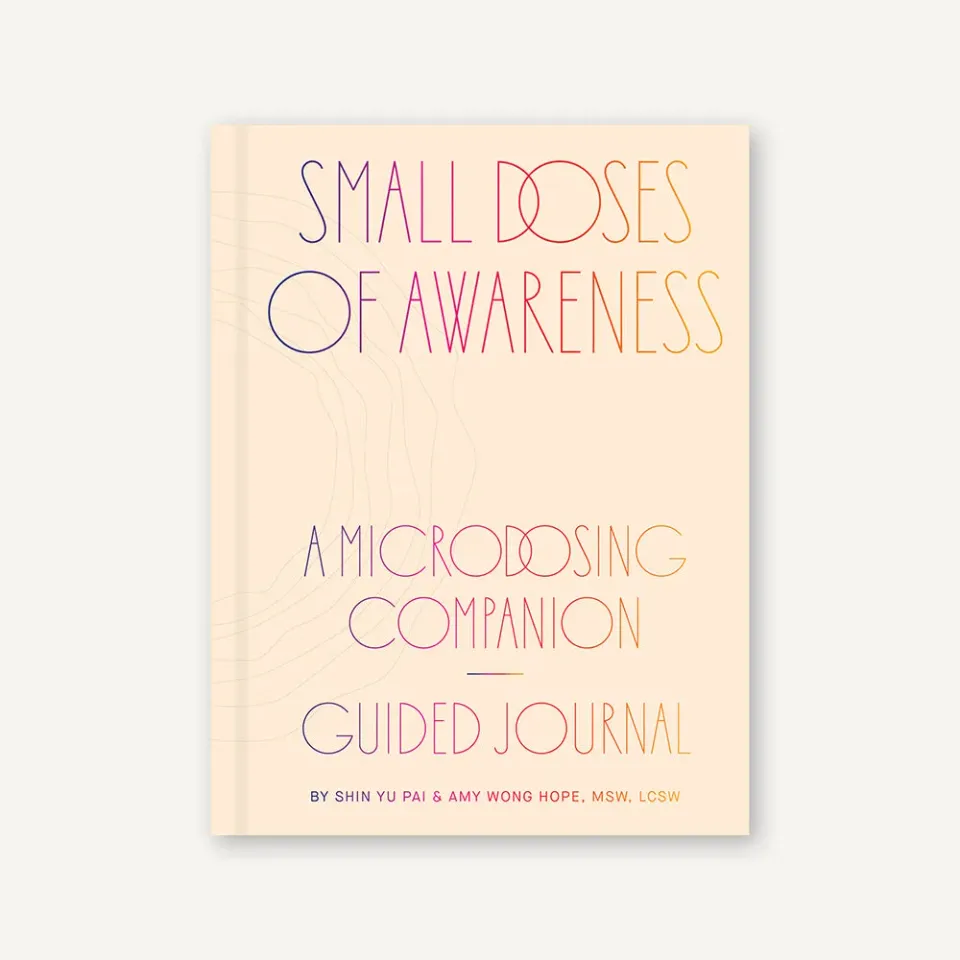 Games Room Small Doses of Awareness journal 12 veckor