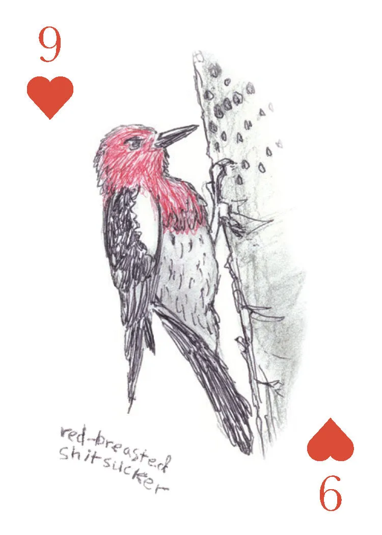 Games Room Field Guide to Dumb Birds spelkort 2 lekar