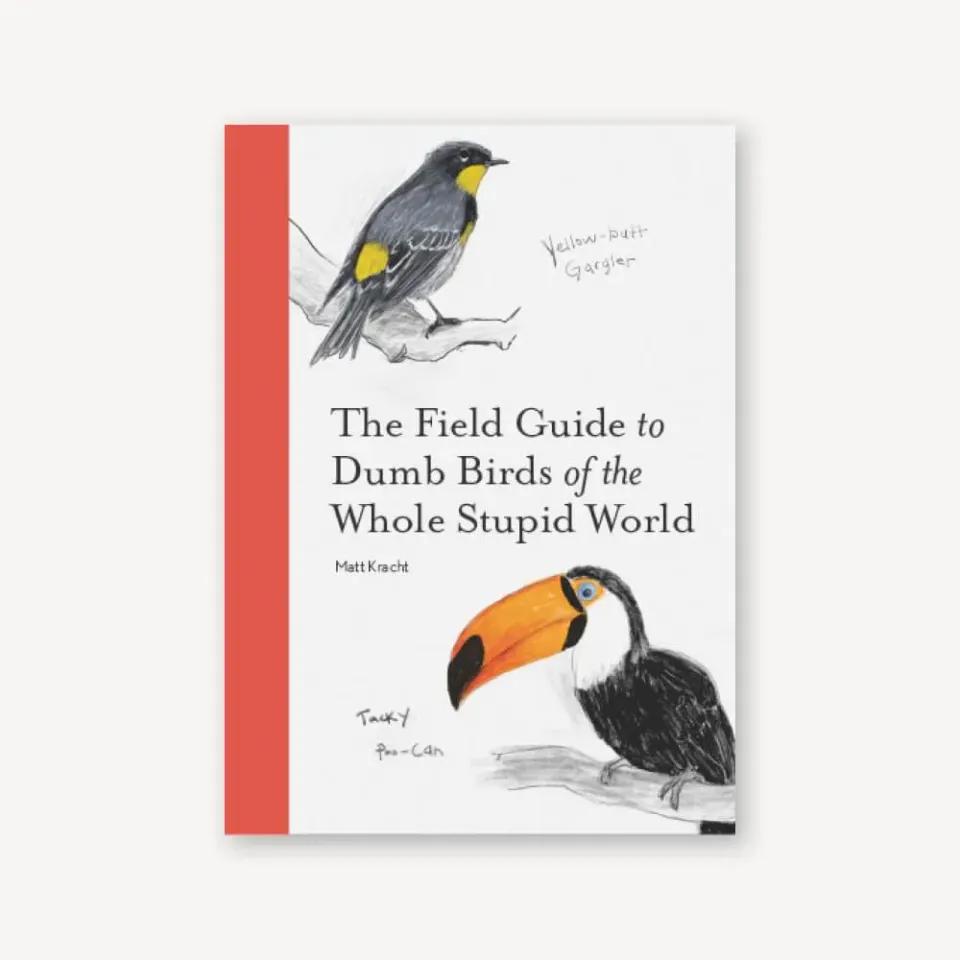 Games Room Field Guide to Dumb Birds bok världen rolig