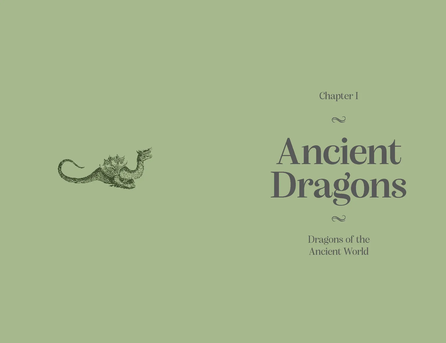 Games Room Pocket Book of Dragons bok om drakar