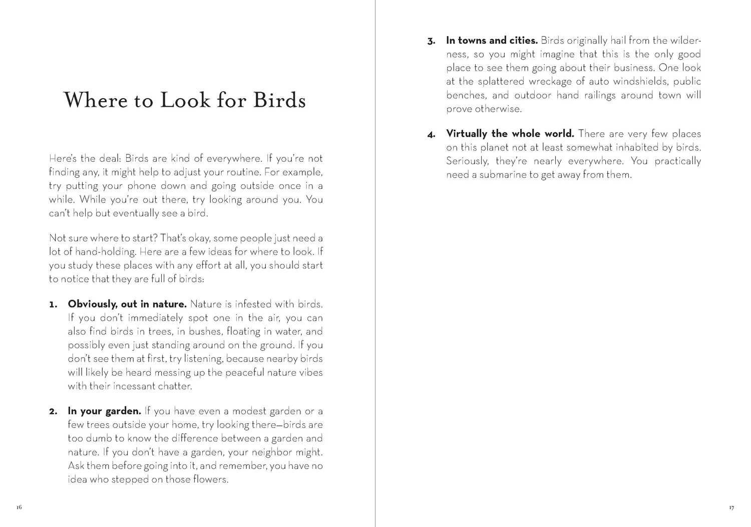 Games Room Dumb Birds Worst Birds Ever humorbok