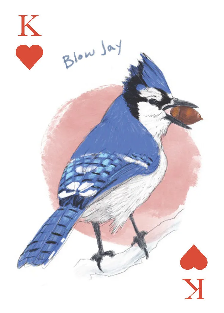 Games Room Field Guide to Dumb Birds spelkort 2 lekar