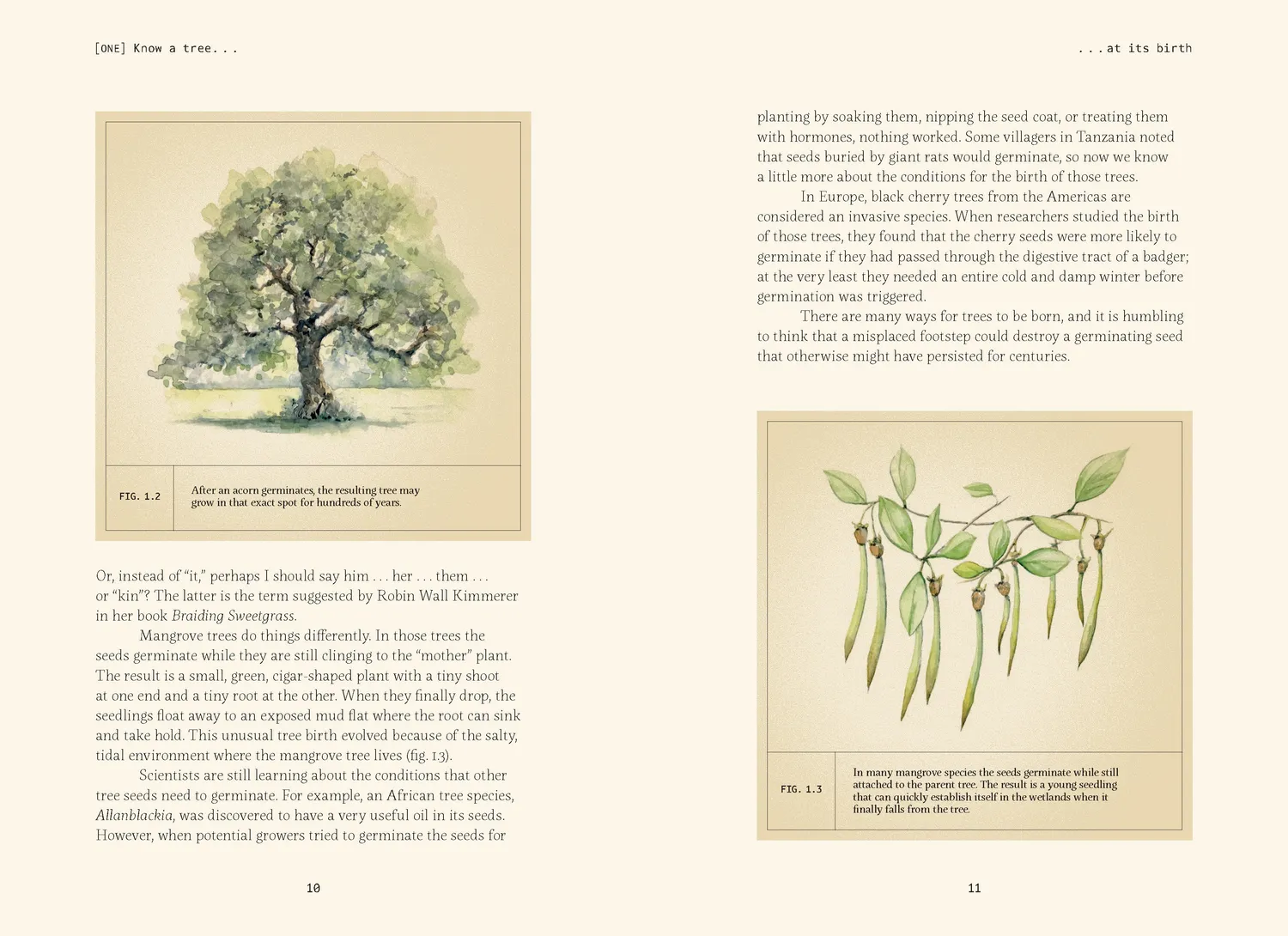 Games Room Forty Ways to Know a Tree naturbok träd
