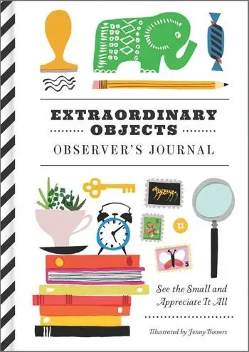 Chronicle Books Extraordinary Objects journal observationsbok