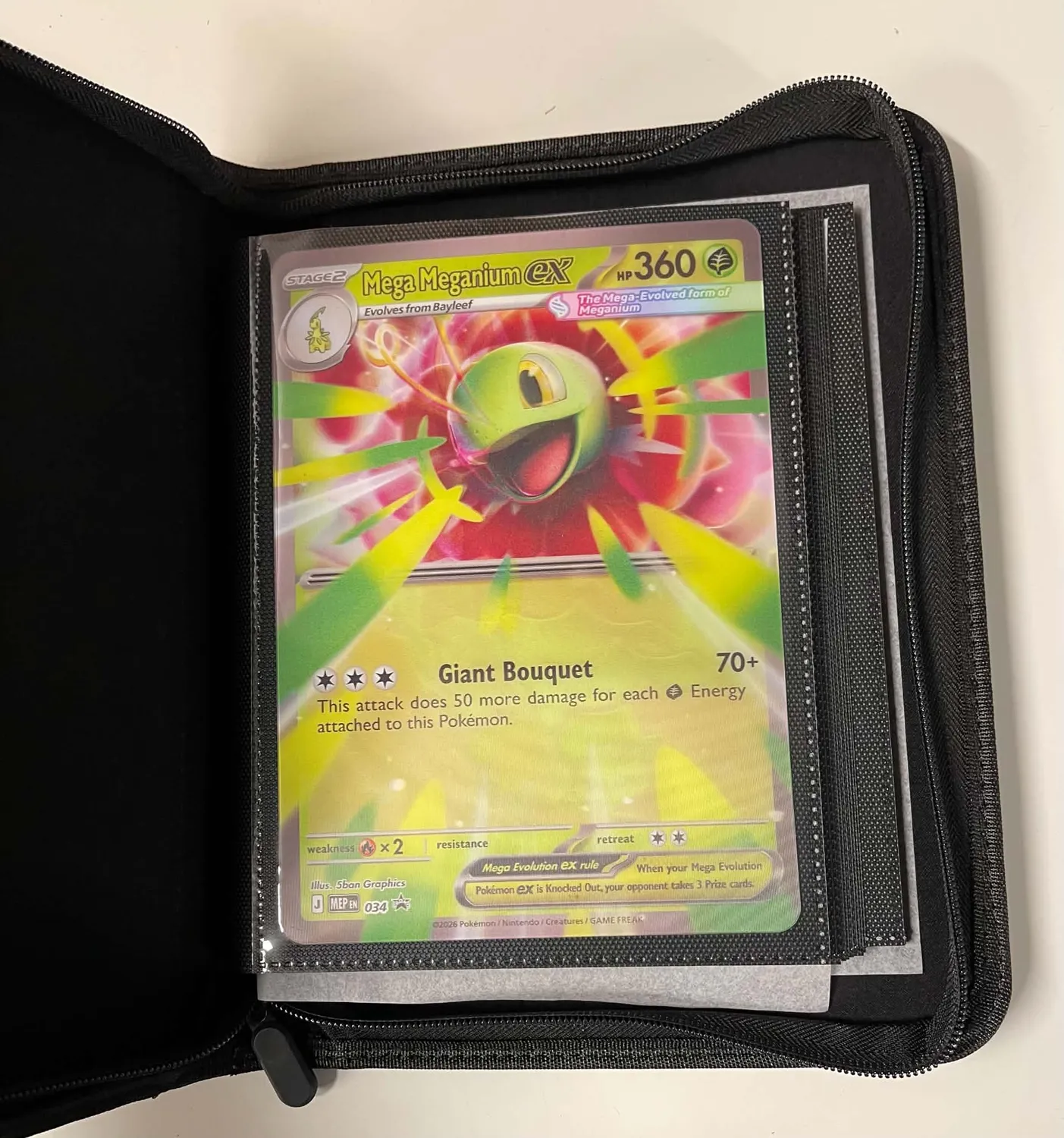 Dragon's Lair Zip Cardbinder samlarpärm 40 stora Pokémonkort