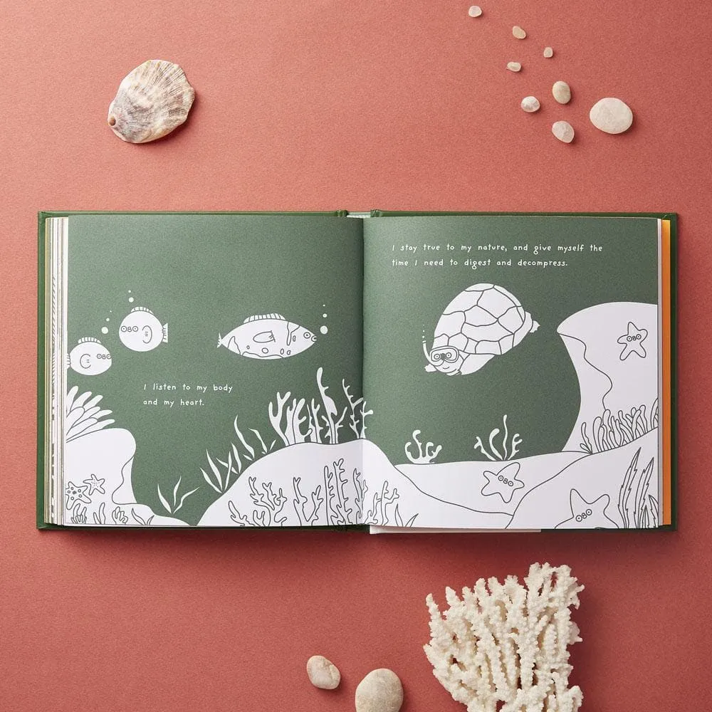 Chronicle Books A Turtle's Guide to Introversion presentbok