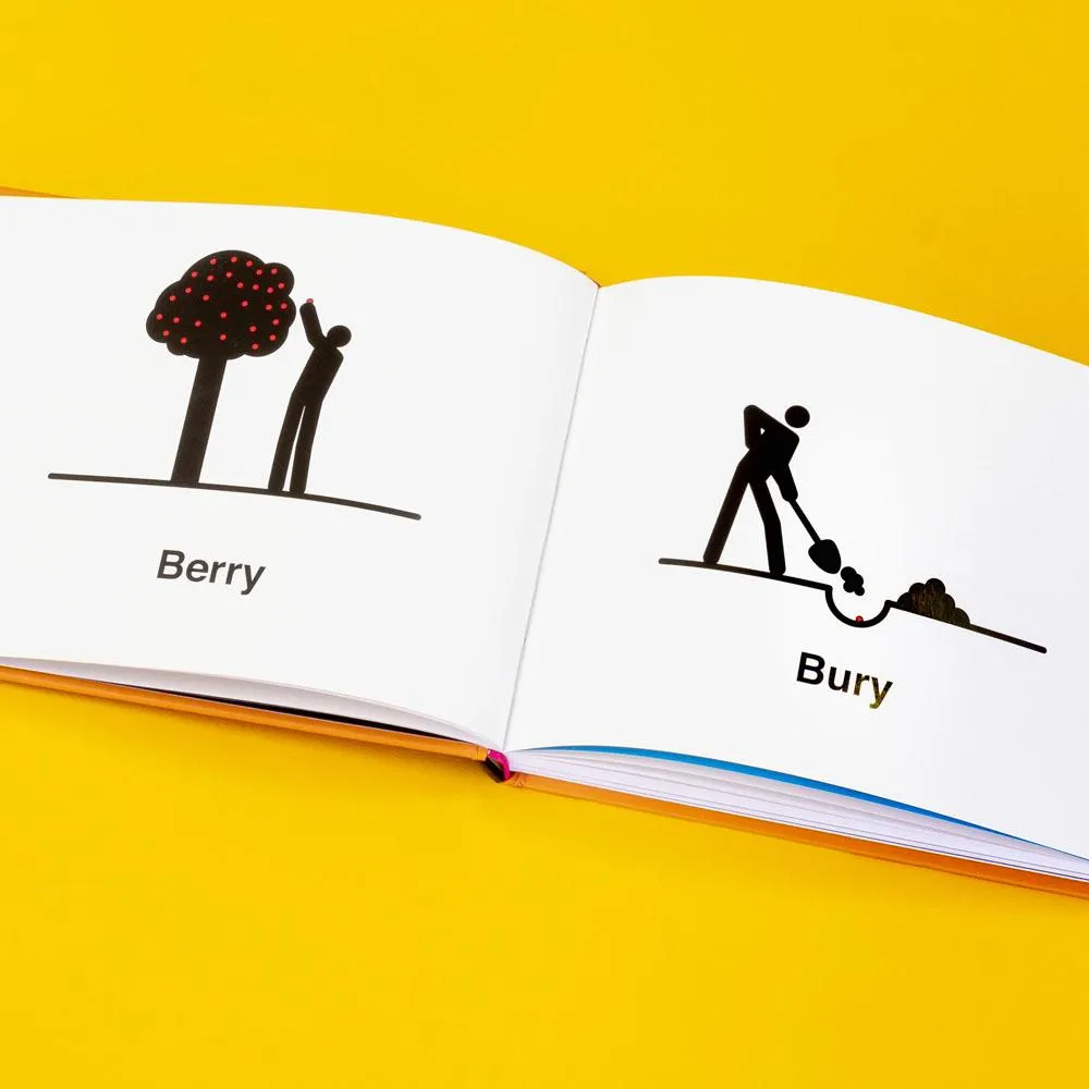 Chronicle Books Homophones Visualized bok 100 ordpar