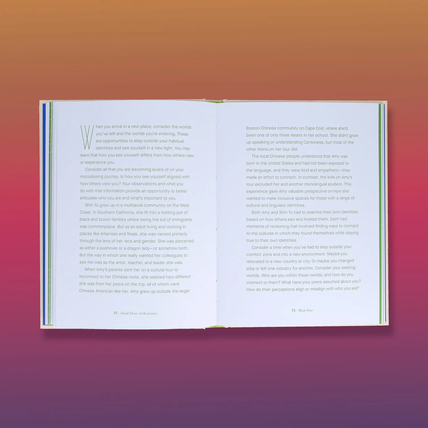 Games Room Small Doses of Awareness journal 12 veckor