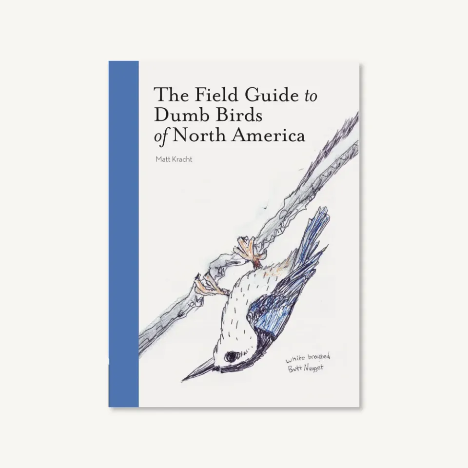 Games Room Field Guide to Dumb Birds of North America bok