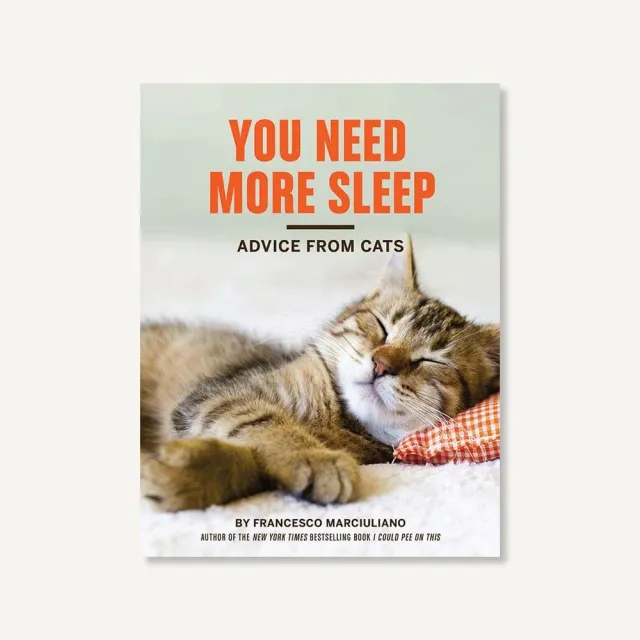 Games Room You Need More Sleep humorbok katter