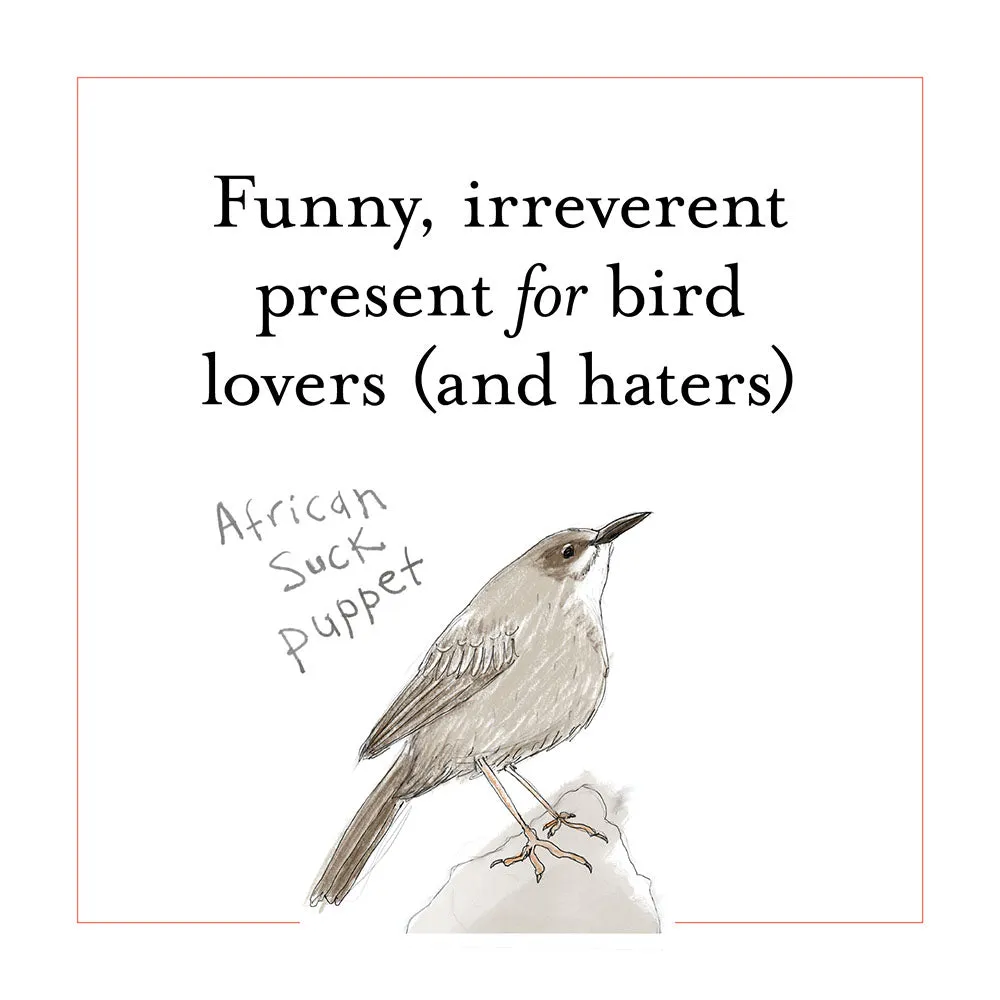Games Room Field Guide to Dumb Birds bok världen rolig