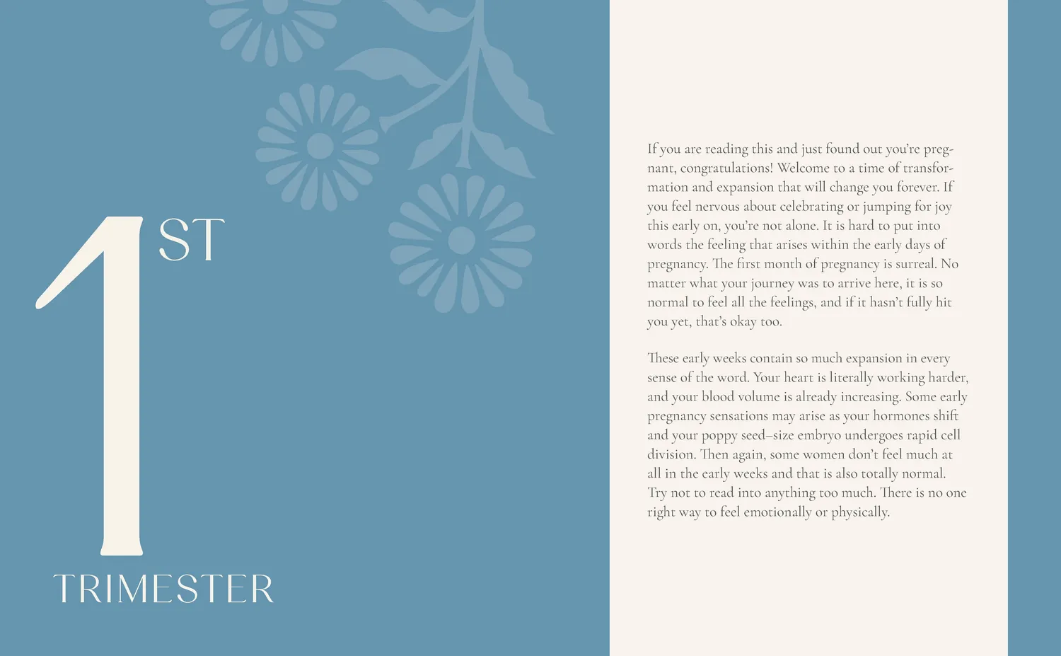 Games Room Growing Together Pregnancy Journal gravidjournal