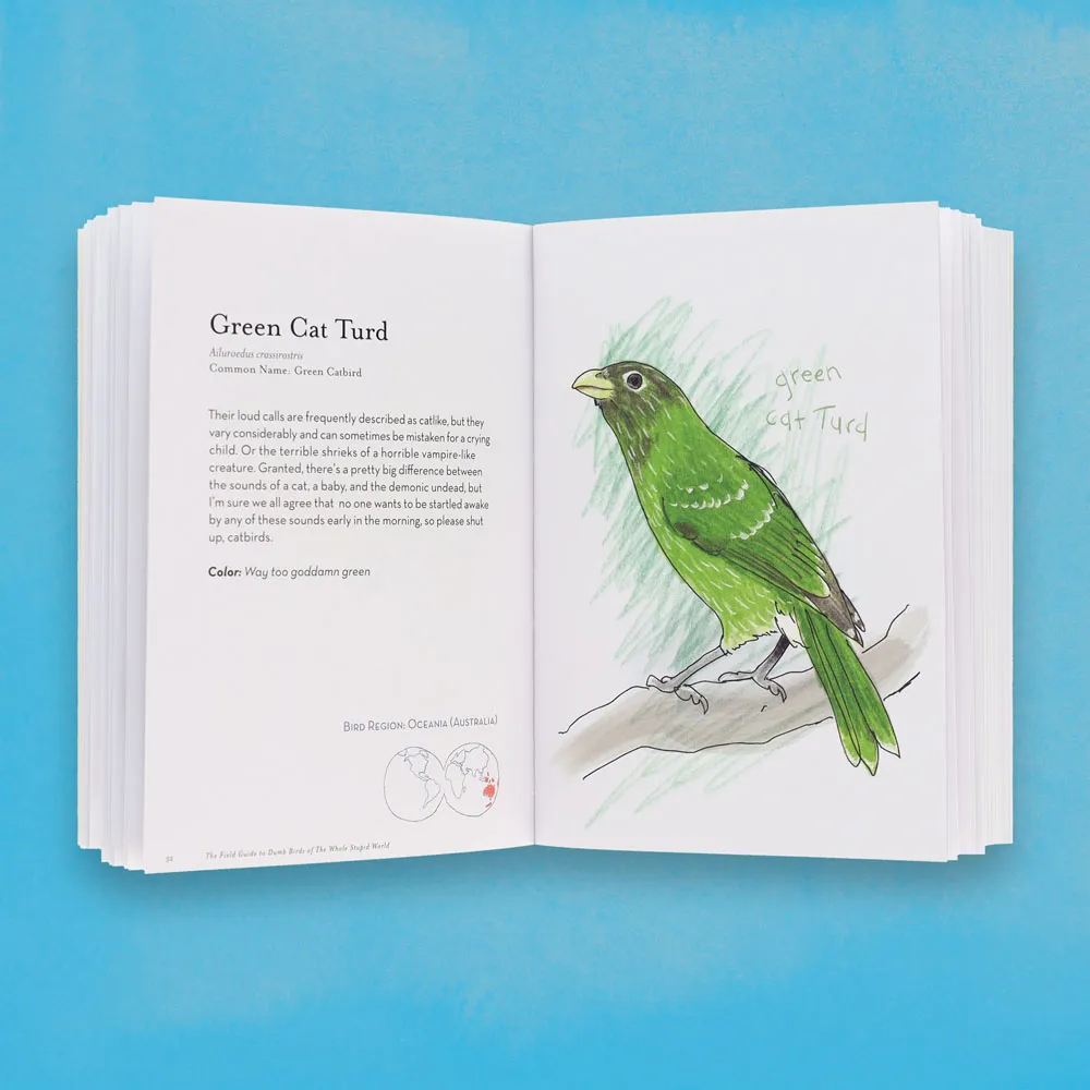 Games Room Field Guide to Dumb Birds bok världen rolig
