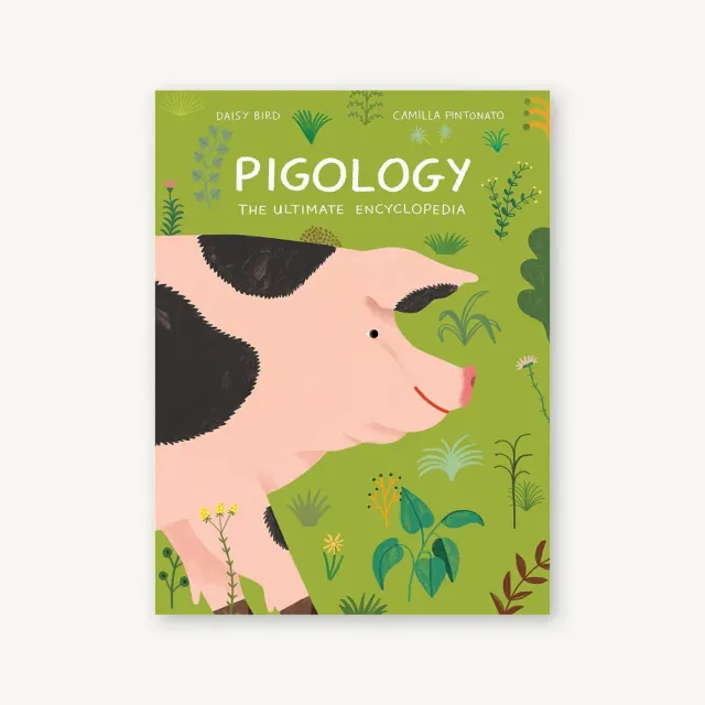 Games Room Pigology bok grisfakta