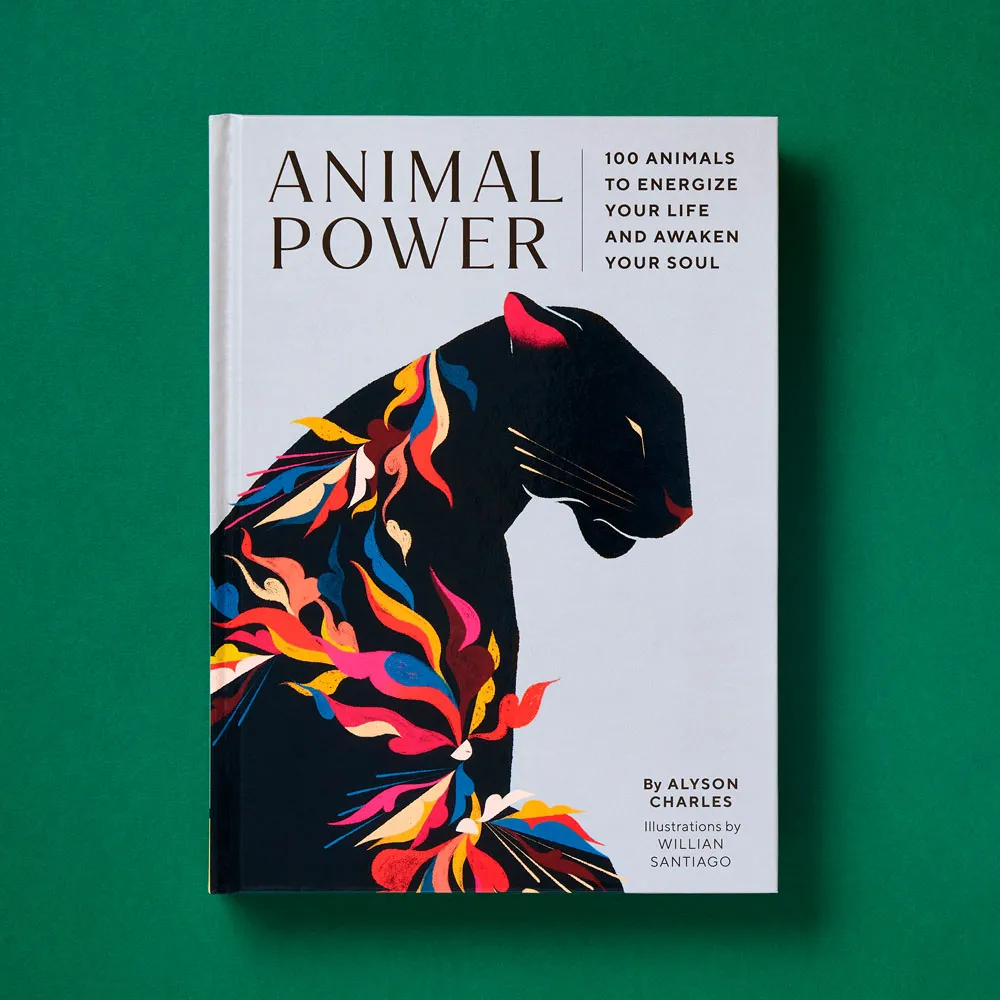 Games Room Animal Power bok 100 djur andlig guide