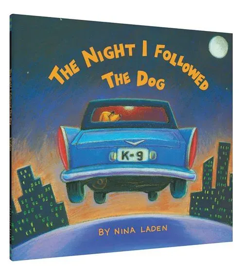 Games Room The Night I Followed the Dog bilderbok 6-8 år