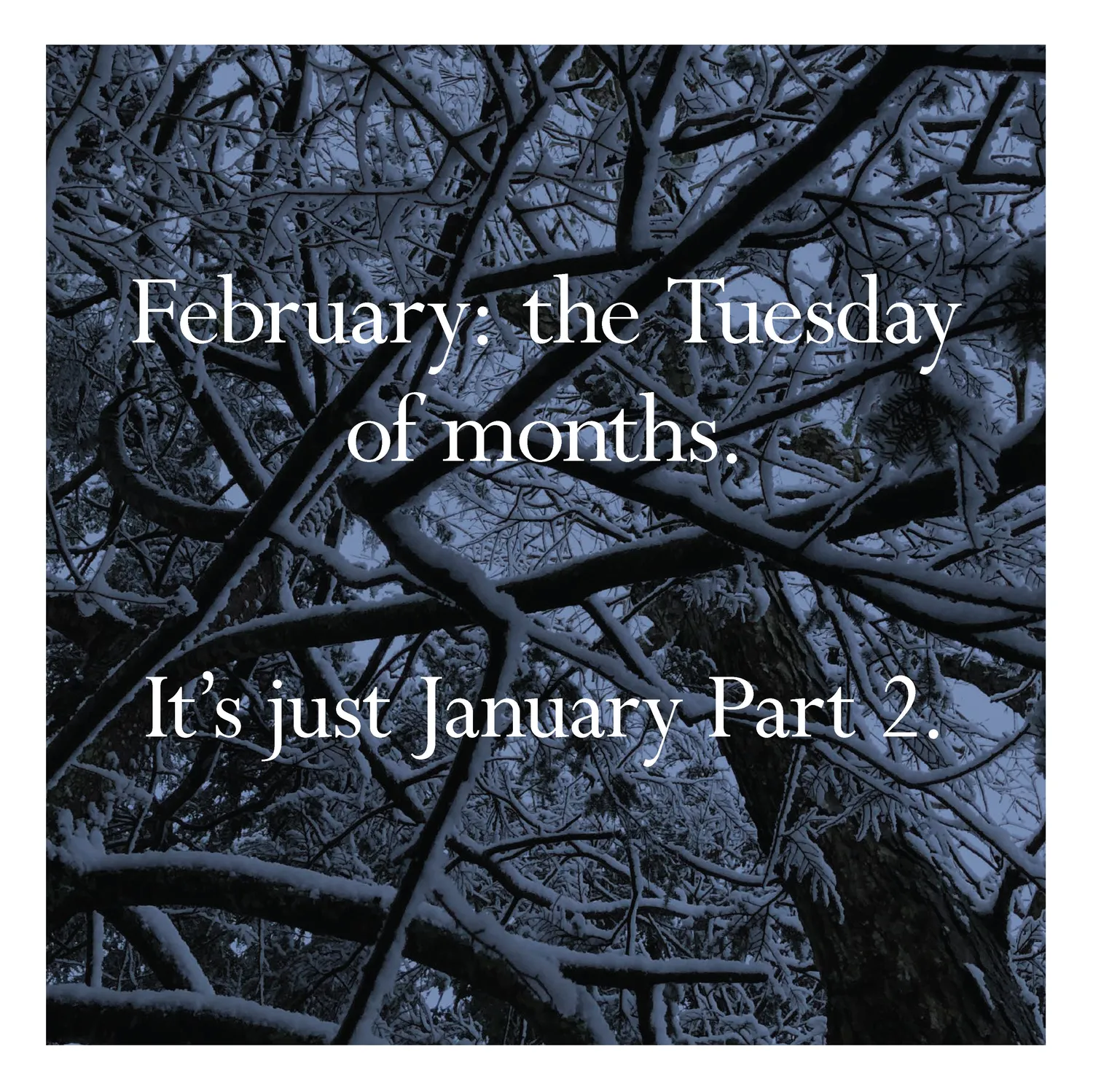 Disappointing Affirmations 2027 väggkalender humor 12x12