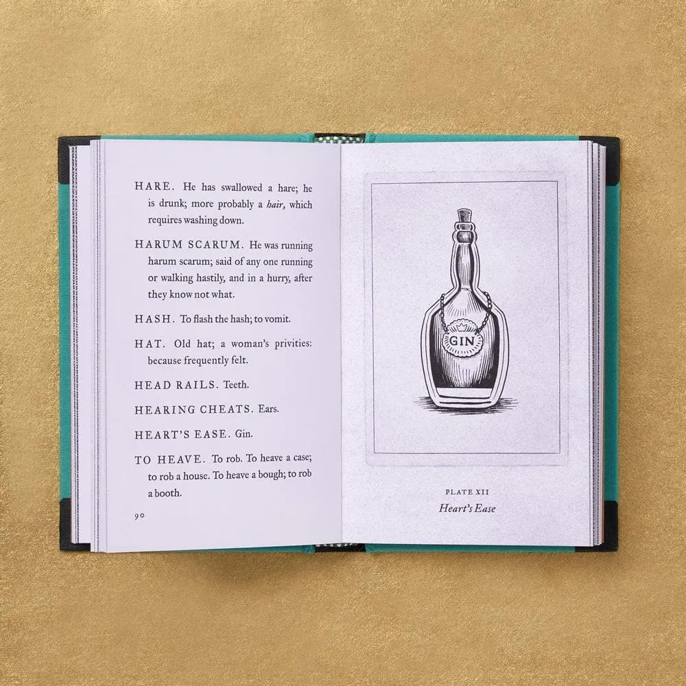 Chronicle Books Vulgar Tongue slangordbok fickformat
