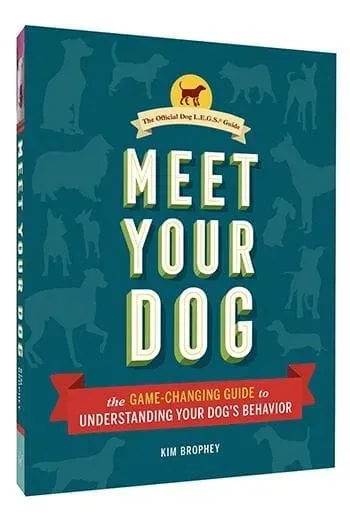 Games Room Meet Your Dog hundbok hundbeteende