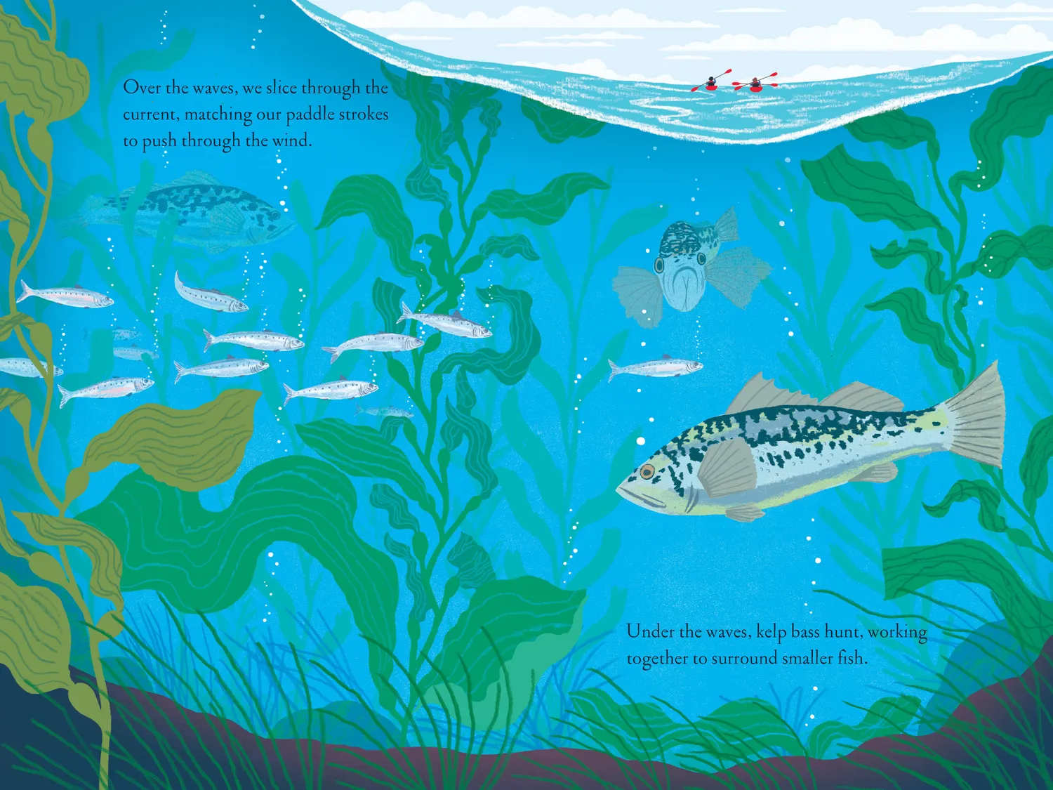 Games Room Over and Under the Waves bilderbok