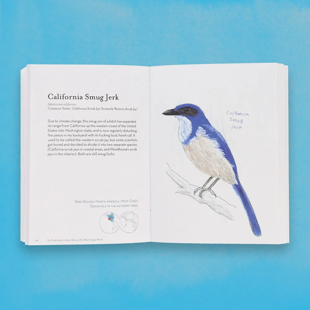 Games Room Field Guide to Dumb Birds bok världen rolig