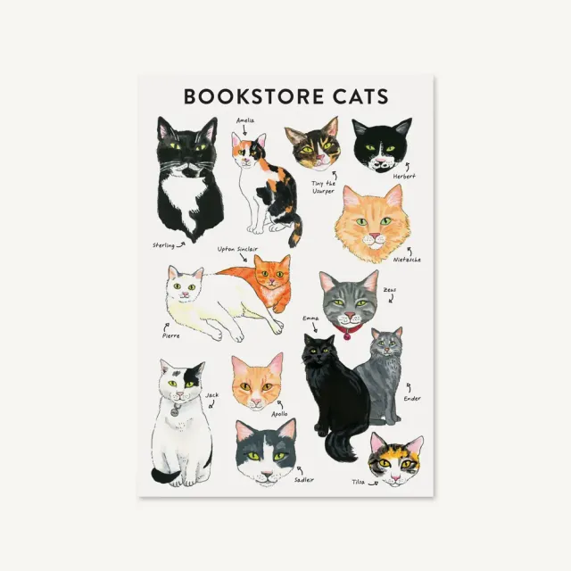 Games Room Bookstore Cats flexi journal katter