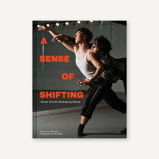 Games Room Sense of Shifting fotobok queer dans