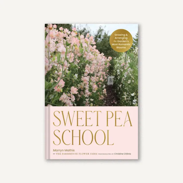 Games Room Sweet Pea School trädgårdsbok luktärt