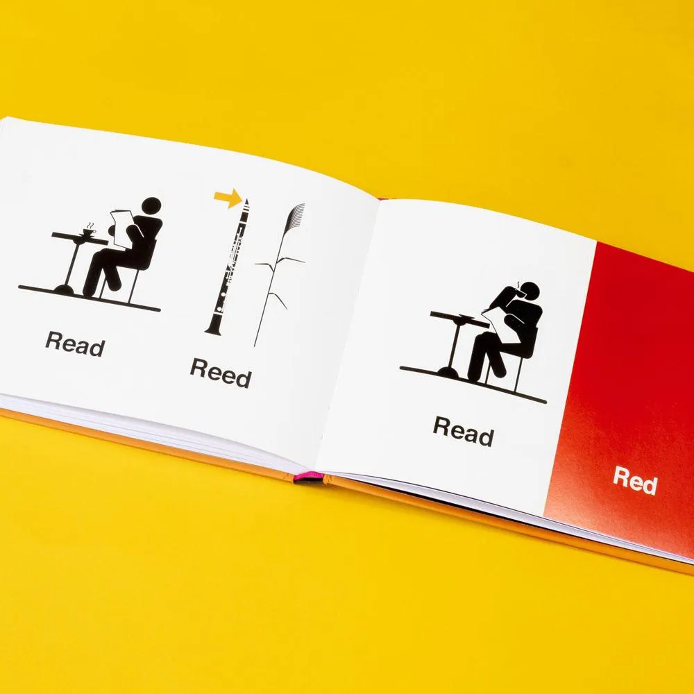 Chronicle Books Homophones Visualized bok 100 ordpar